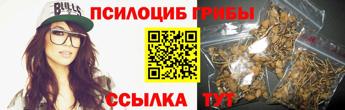 Псилоцибиновые грибы GOLDEN TEACHER Котовск