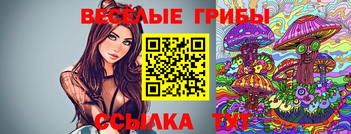 Котовск  Галлюциногенные грибы Psilocybine cubensis  Вход с VPN 